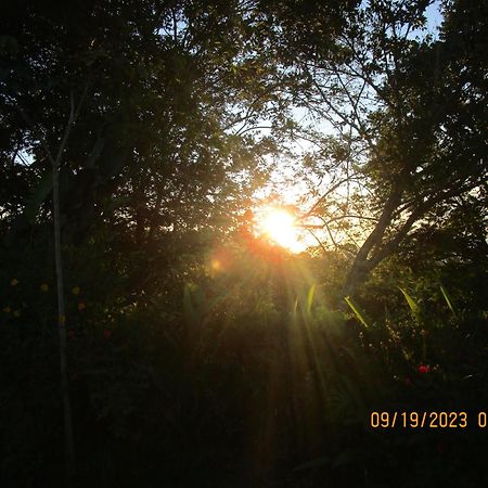 Casa Aquiares Lodge Posada Rural Turrialba Dış mekan fotoğraf