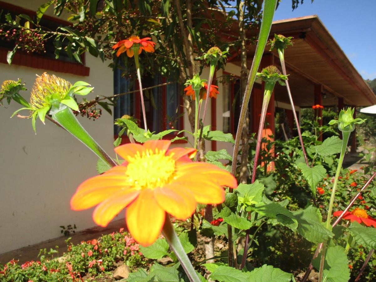 Casa Aquiares Lodge Posada Rural Turrialba Dış mekan fotoğraf