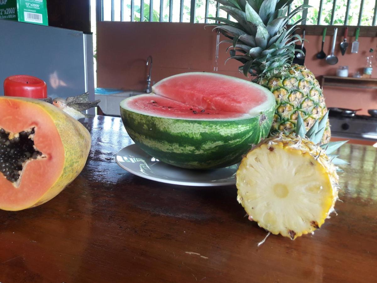 Casa Aquiares Lodge Posada Rural Turrialba Dış mekan fotoğraf