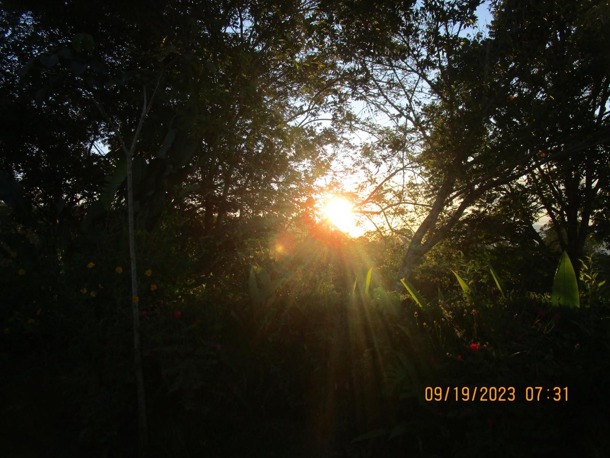 Casa Aquiares Lodge Posada Rural Turrialba Dış mekan fotoğraf